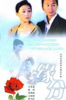 《缘分的天空》免费观看高清完整版_电视剧全集在线播放01集