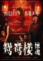 《鸳鸯楼》免费高清在线观看加长版国语中字