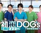 《初恋UNDER DOGs 败犬与初恋1-6》动漫免费在线观看-高清完整版